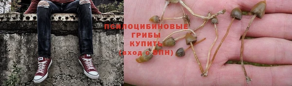 Альфа ПВП Карпинск