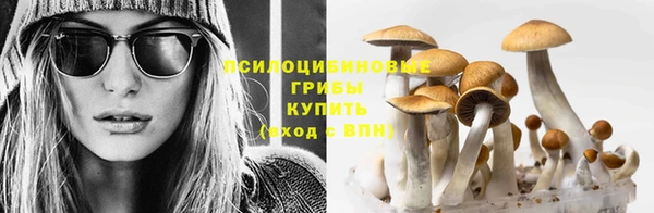 первитин Киреевск
