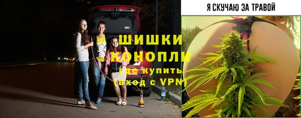 первитин Киреевск