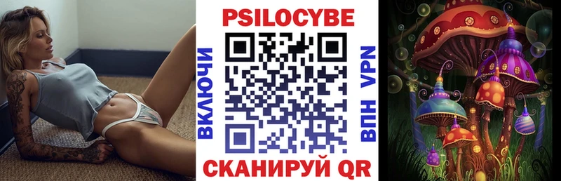 Купить где  Мурино  Псилоцибиновые грибы Psilocybe 
